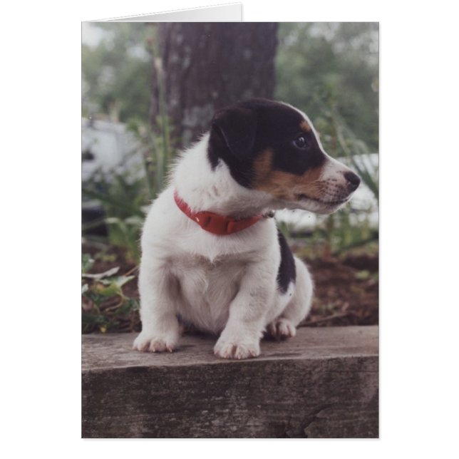 Winnie Hälsningskort (Framsidan)