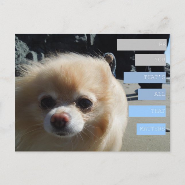 Winnies citat vykort (Framsida)