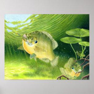 Winning-teckningar av R Nelson, Klass 7 Poster