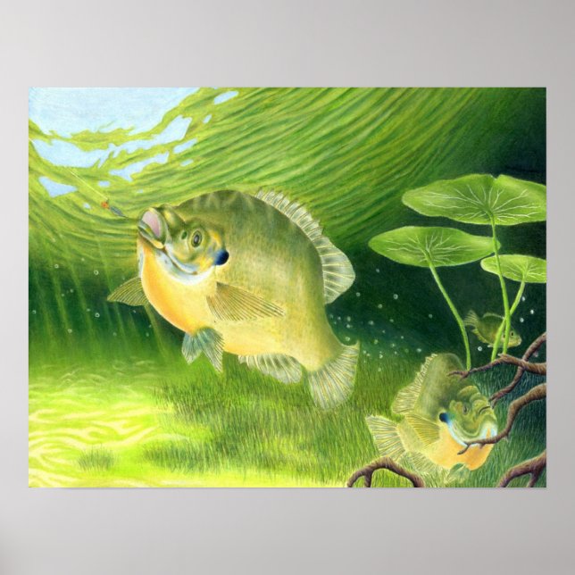 Winning-teckningar av R Nelson, Klass 7 Poster (Framsidan)