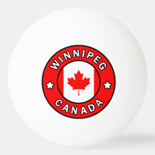 Winnipeg Kanada Pingisboll