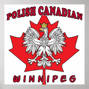 Winnipeg polska Canadian Löv Poster