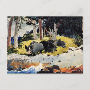 Winslow Homer - Bermuda Settlers Vykort