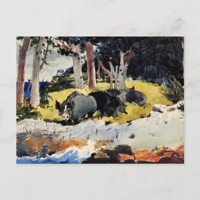 Winslow Homer - Bermuda Settlers Vykort (Framsida)