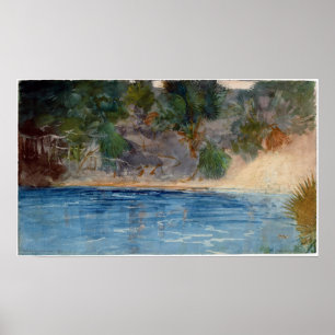 Winslow Homer Blue Vår, Florida Poster