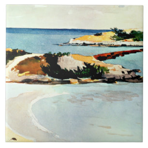 Winslow Homer - Gallow Island Kakelplatta