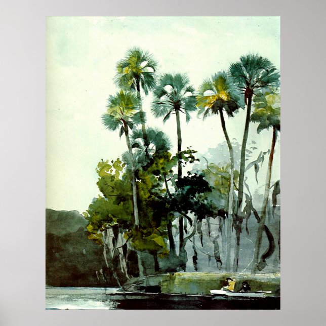 Winslow Homer - Homosassa River Poster (Framsidan)