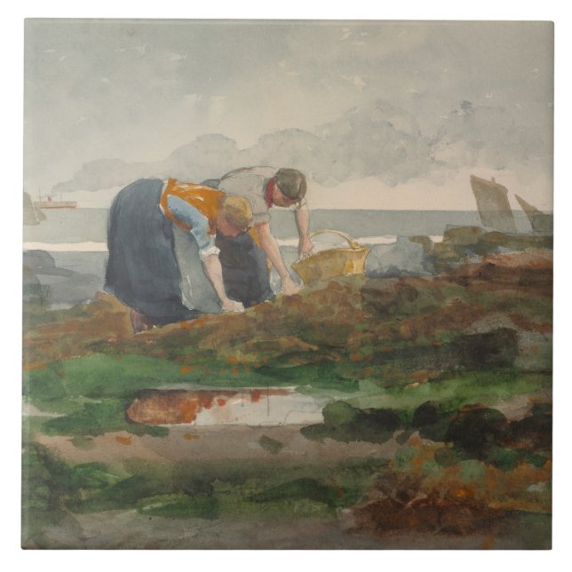 Winslow Homer - musslaihopsamlarearna Kakelplatta (Framsidan)