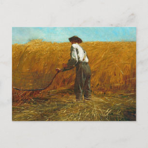 Winslow Homer - Veteran i New Fält Vykort