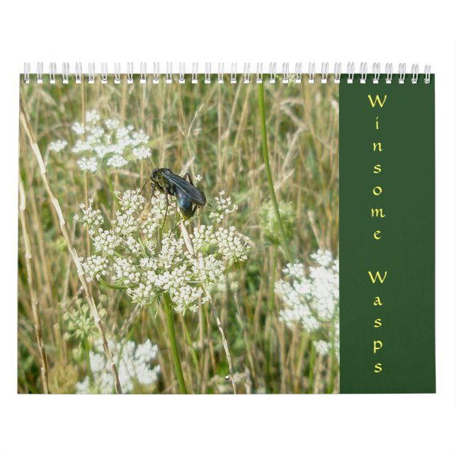 Winsome Wasps Calendar Kalender (Omslag)