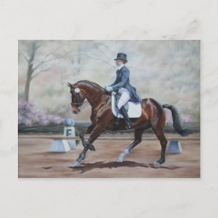 Winsor i Dressage Vykort