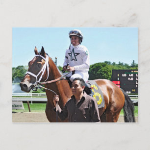 Winstar Farms Kung Cyrus Vykort