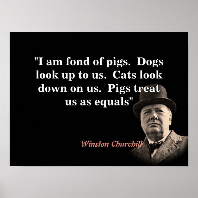 Winston Churchill-citat på Grisar Poster (Framsidan)