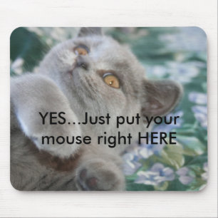 Winston katten Mousepad Musmatta