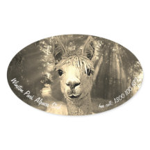 Winston parkerar Alpaca dubbar