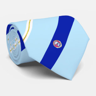Winston-Salem (North Carolina) city flagga Neck Ti Slips