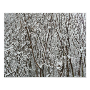 Winter-Abstrakten för Grenar täckt av snö Fototryck