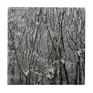 Winter-Abstrakten för Grenar täckt av snö Kakelplatta