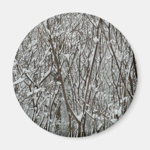Winter-Abstrakten för Grenar täckt av snö Magnet