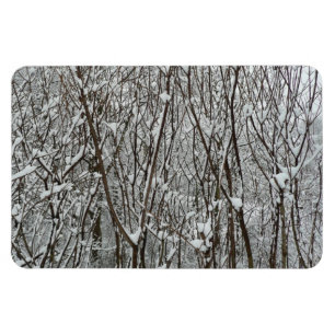 Winter-Abstrakten för Grenar täckt av snö Magnet