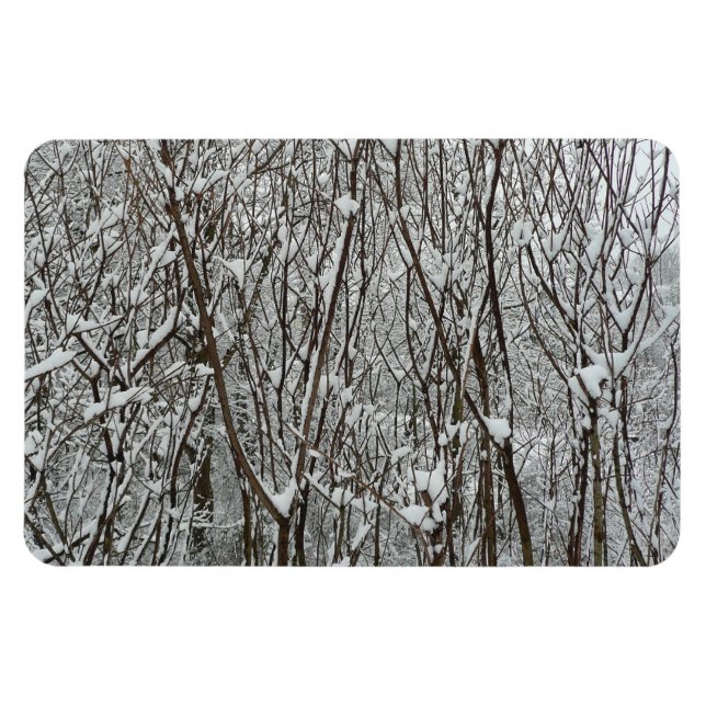 Winter-Abstrakten för Grenar täckt av snö Magnet (Horisontell)