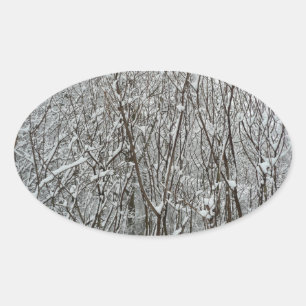 Winter-Abstrakten för Grenar täckt av snö Ovalt Klistermärke