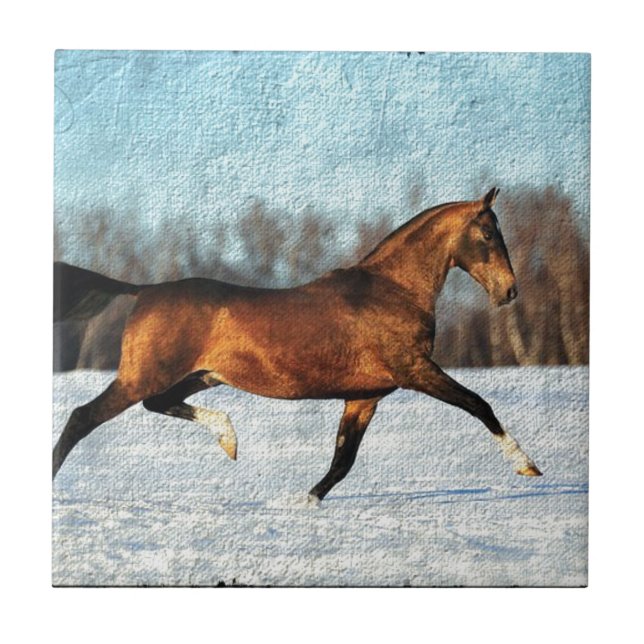 Winter Akhal-teke Kakelplatta (Framsidan)