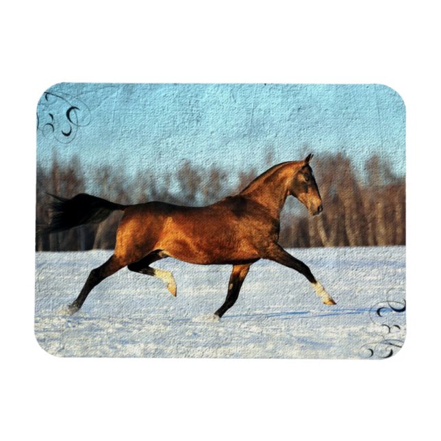 Winter Akhal-teke Magnet (Horisontell)