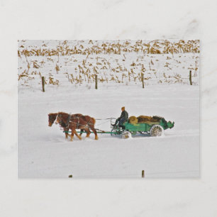Winter Amish Farmer på vykort för arbete