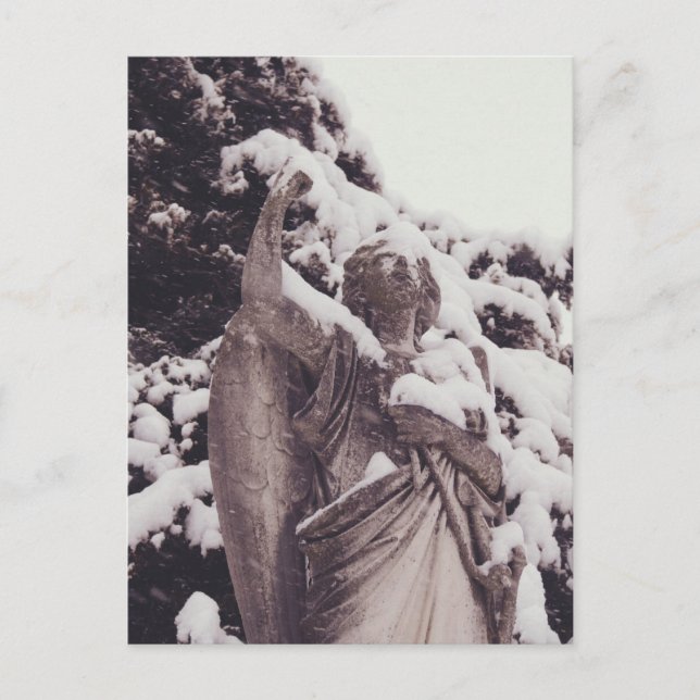 Winter Angel Vykort (Framsida)