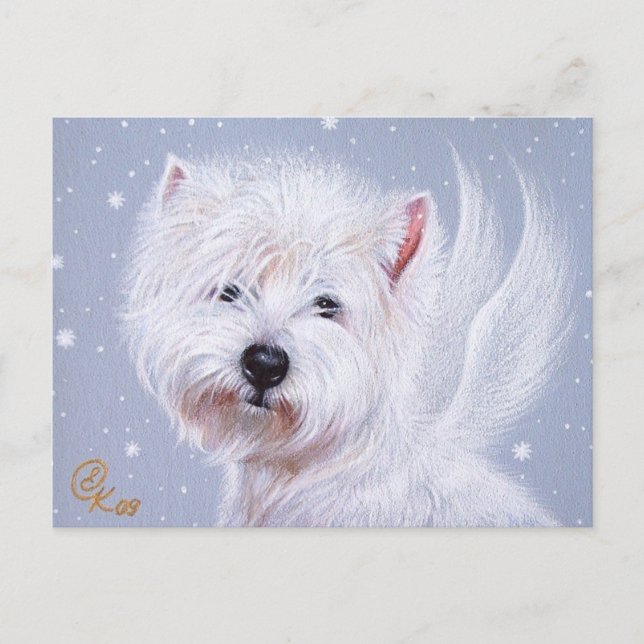 Winter Angel (Westie) Vykort (Framsida)