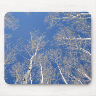 Winter Aspen Träd Musmatta