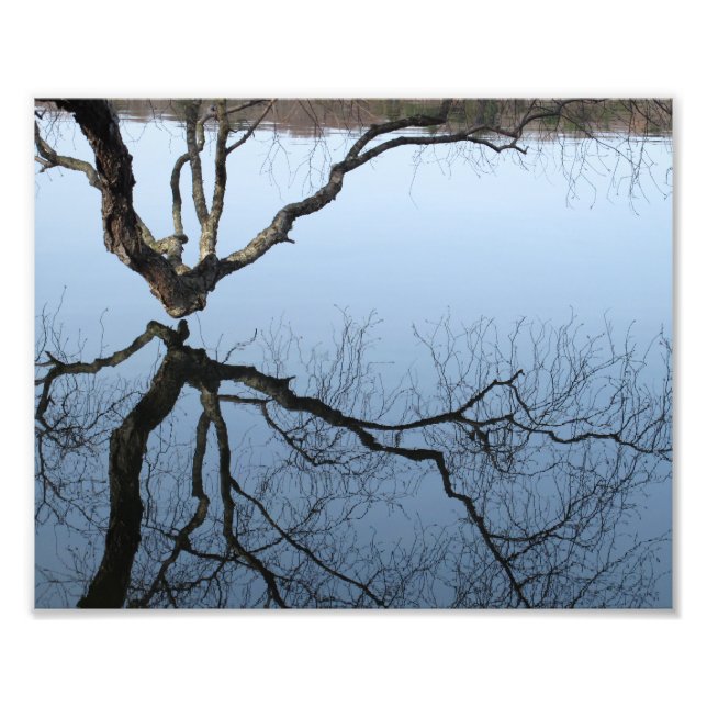 Winter at Jamaica Pond, 8 x 10 fotoavtryck Fototryck (Framsidan)