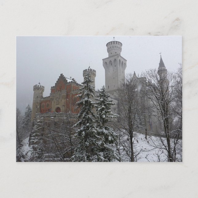 Winter at Neuschwanstein Castle Vykort (Framsida)