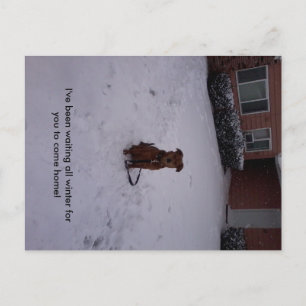 Winter Away Vykort