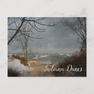 Winter Beach, Sjö, Indiana Dunes Ntl.Lakeshore Vykort