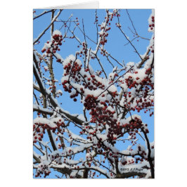 "Winter Berries" Hälsningskort