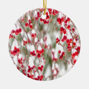 Winter Berries Red White Jul Färg Snö Hol Julgransprydnad Keramik