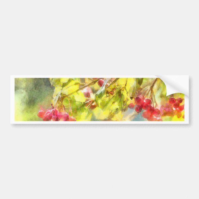 Winter Berries Watercolor Bildekal (Framsidan)