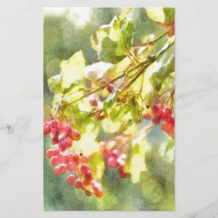 Winter Berries Watercolor Brevpapper