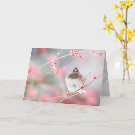 "Winter Berry Junco", 5" x 7", mappat gratulations Kort