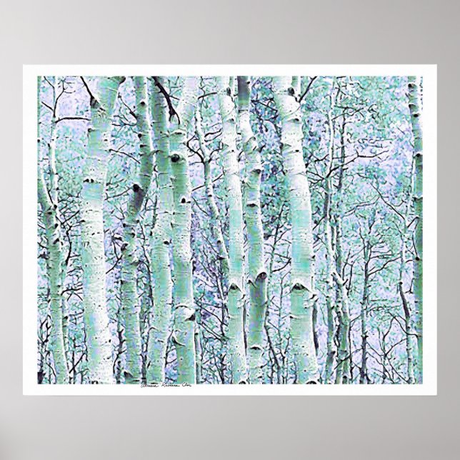 Winter Birch Poster (Framsidan)