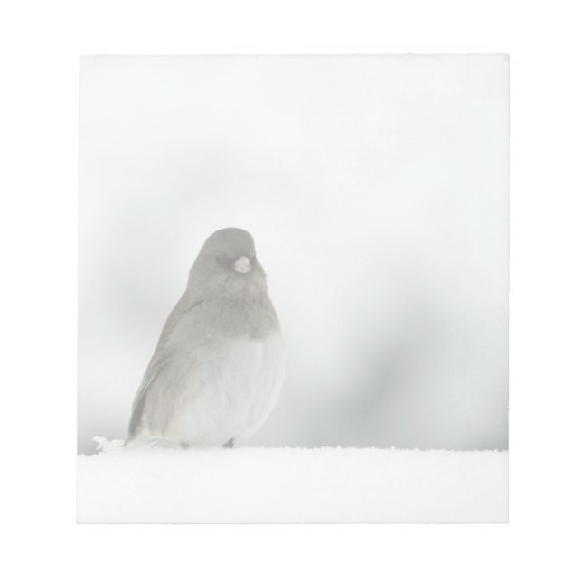 Winter Bird Anteckningsblock (Framsida)