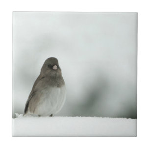 Winter Bird Kakelplatta