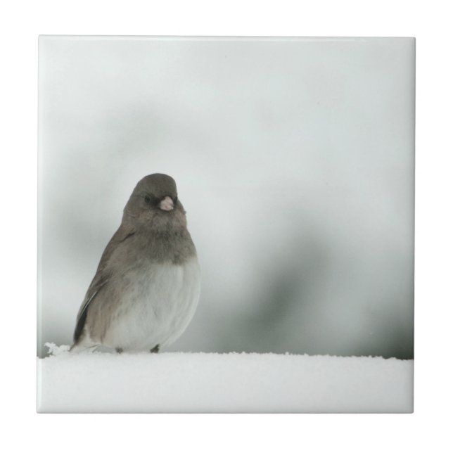 Winter Bird Kakelplatta (Framsidan)