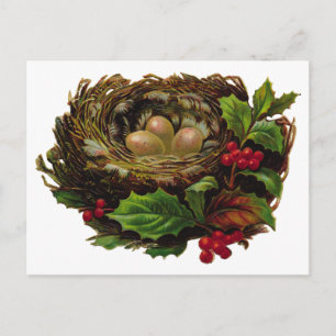 Winter Bird Nest Vykort