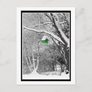 Winter Birdhouse Vykort