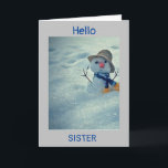 **WINTER BIRTHDAY TILL MY *SISTER*-KORT KORT<br><div class="desc">GE ELLER SKICKA DET TILL "***DIN SISTER*** OCH TACK FÖR ATT DU STOPPAT MED ETT AV MINA ÅTTA LAGER! KOMMA IHÅG ATT DU KAN ÄNDRA ELLER LÄGGA TILL I OCH UT "VERSER" OM DU VILL HA SEKUNDER!</div>