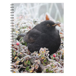 Winter Blackbird Anteckningsbok