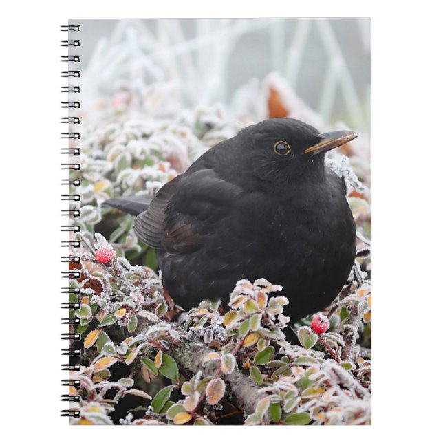 Winter Blackbird Anteckningsbok (Framsidan)